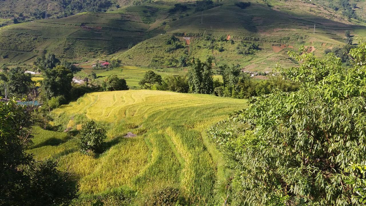 Ta Van Green Hills Homestay Sa Pa Extérieur photo