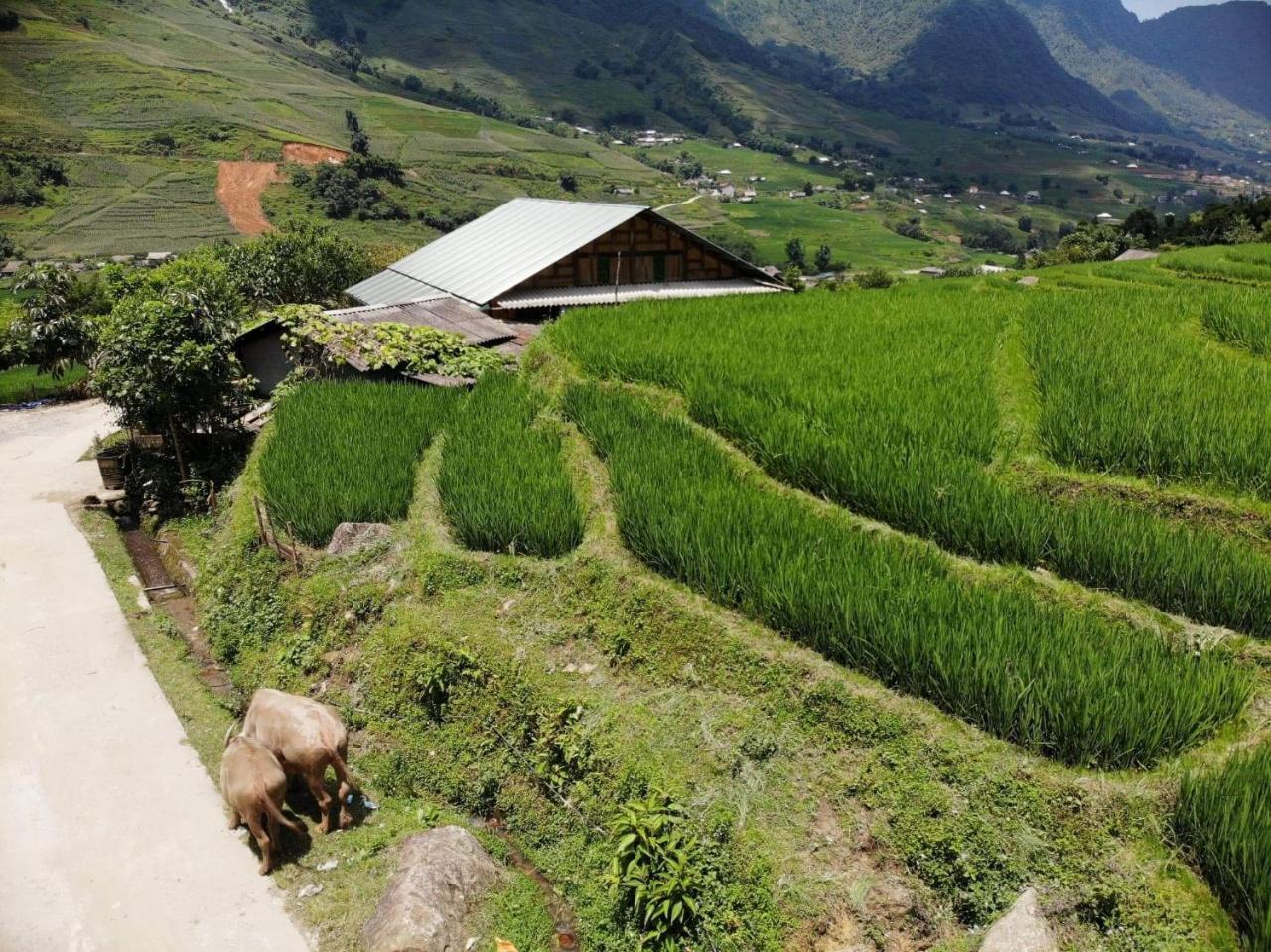 Ta Van Green Hills Homestay Sa Pa Extérieur photo