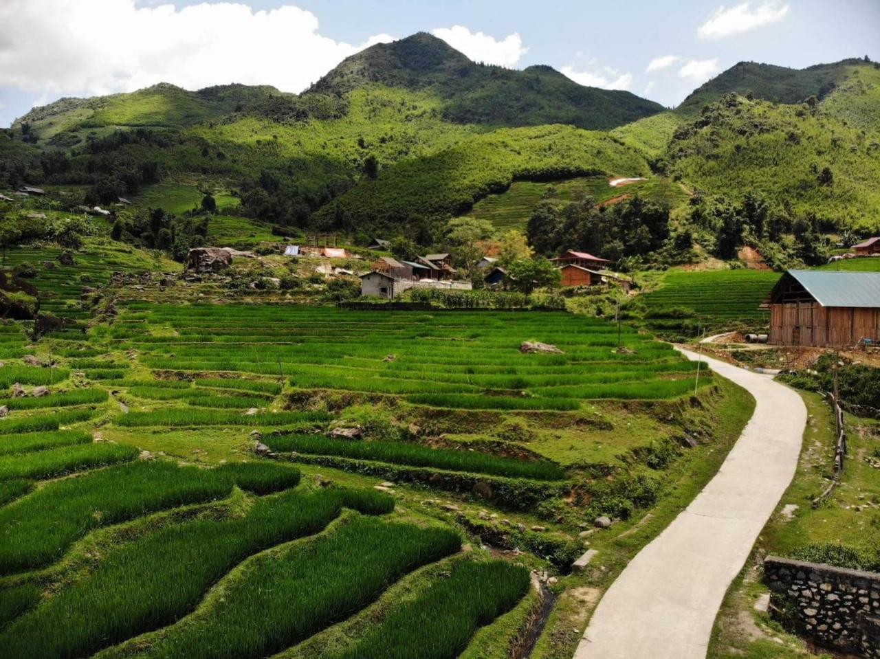 Ta Van Green Hills Homestay Sa Pa Extérieur photo